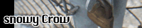 snowy Crow